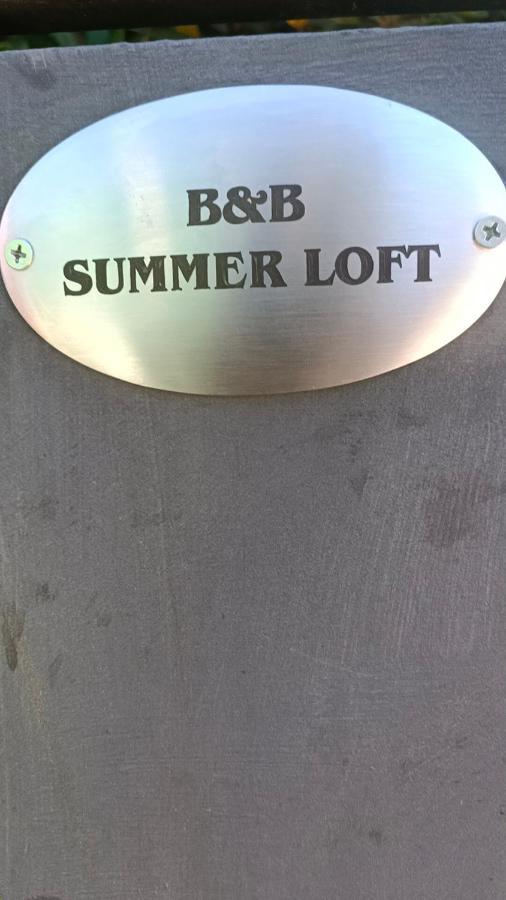 Summer Loft Sant'Andrea  Zewnętrze zdjęcie